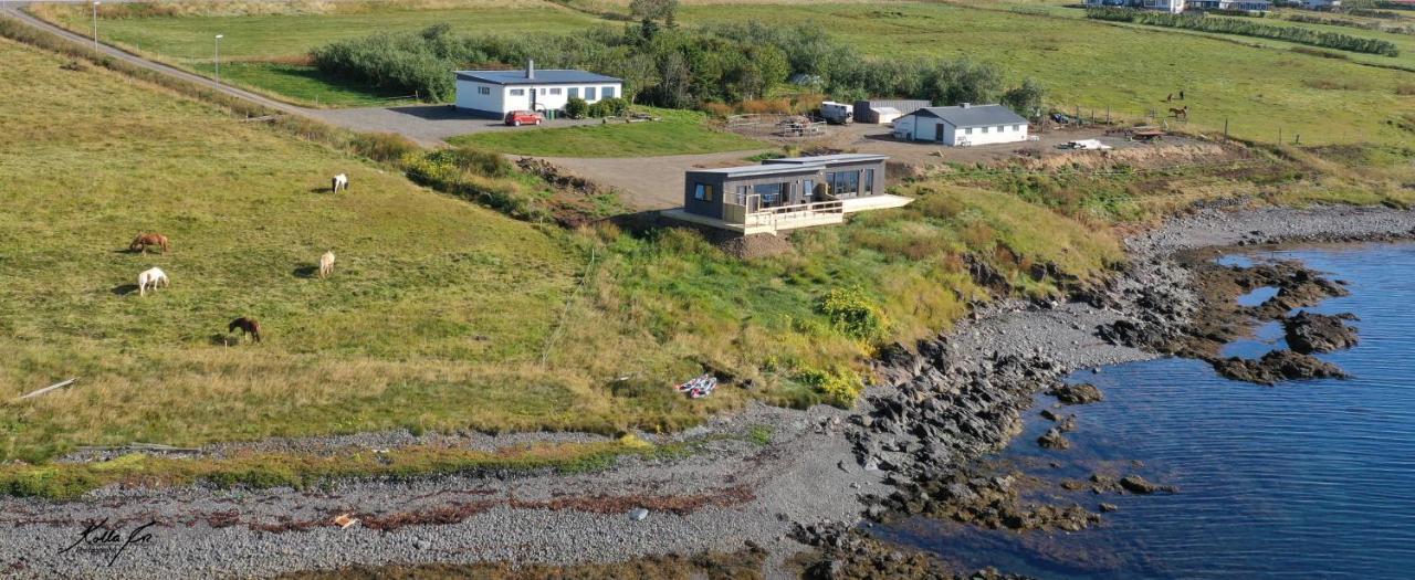 Eyri Seaside Houses Hvammstangi Exterior photo